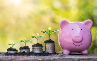 Small Budget, Big Impact: Cost-Effective Marketing Wins That Work