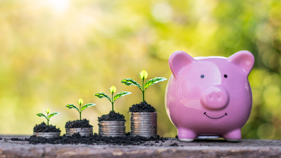 Small Budget, Big Impact: Cost-Effective Marketing Wins That Work