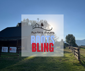 Austin's House - In Plain Sight Marketing Award Winning Campaigns